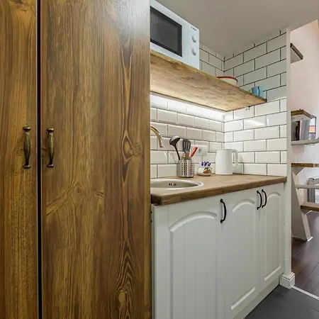 Saksahanskoho Apartment